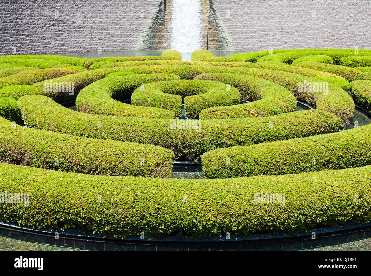 Wunderbarer Garten Labyrinth an einem sonnigen Tag Stockfoto