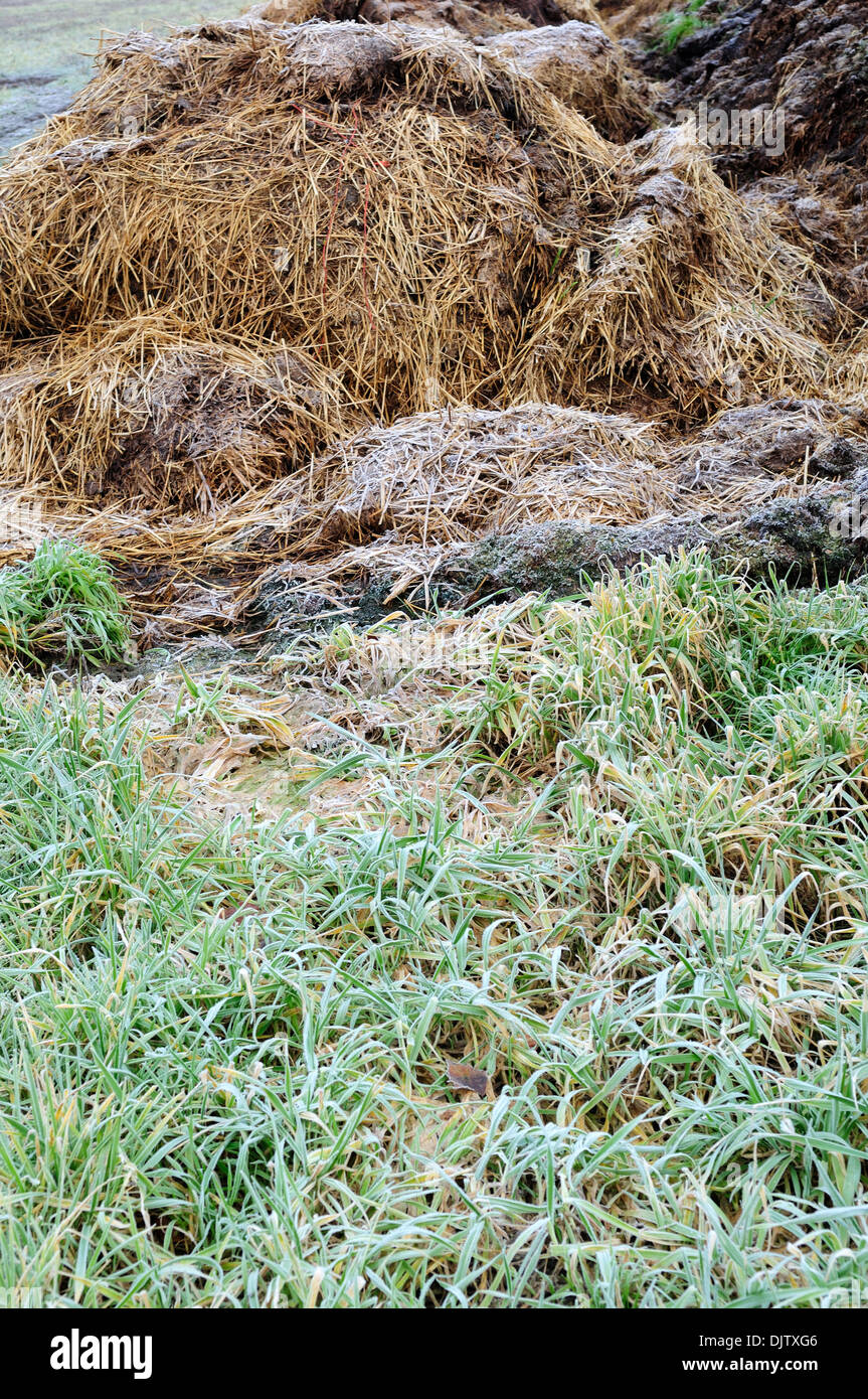 Calverton,Notts,UK.26th November 2013. Stockfoto