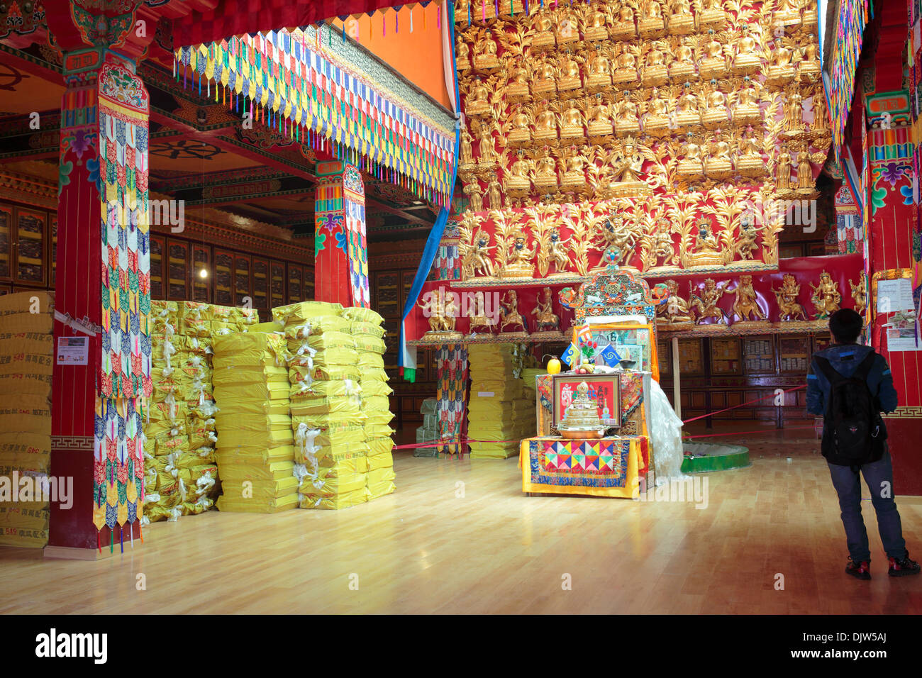 Statuen von Buddha, Tsurphu Kloster, Präfektur Lhasa, Tibet, China Stockfoto