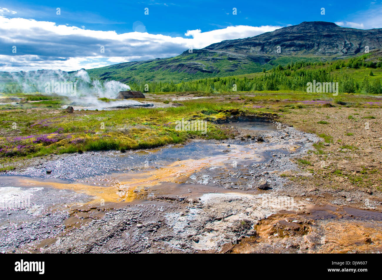 Geothermische Pools, Geysir, Island Stockfoto