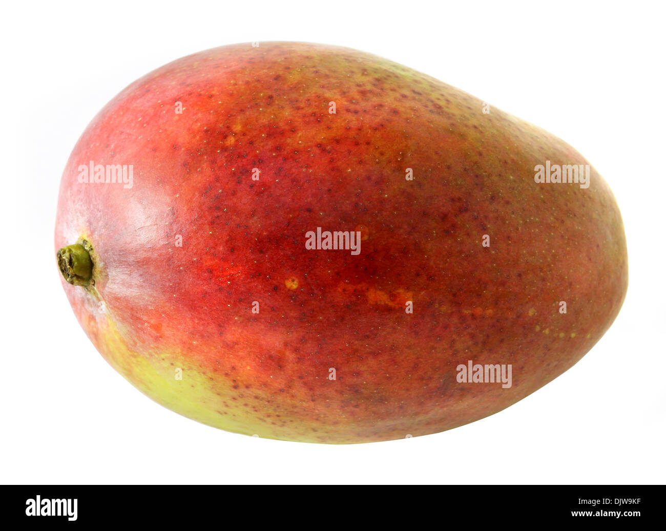 Großen Mango-Frucht auf weißem Hintergrund Stockfoto