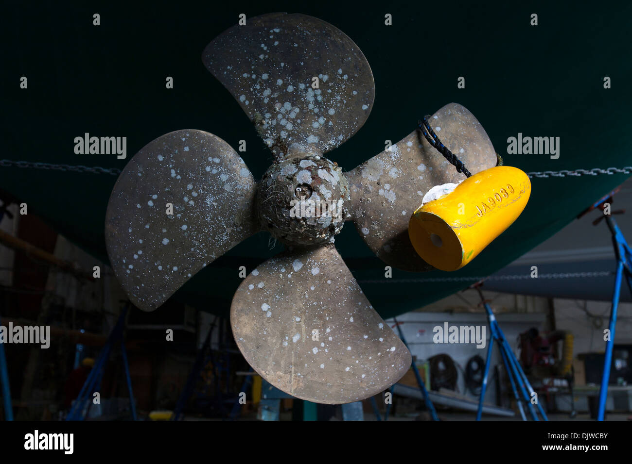 Ein gelben Schwimmer aus einem Lobster Pot ist von einem Propeller hing eine, wenn in einem Schuppen in der Werft Newport auf Rhode Island verheddert Stockfoto