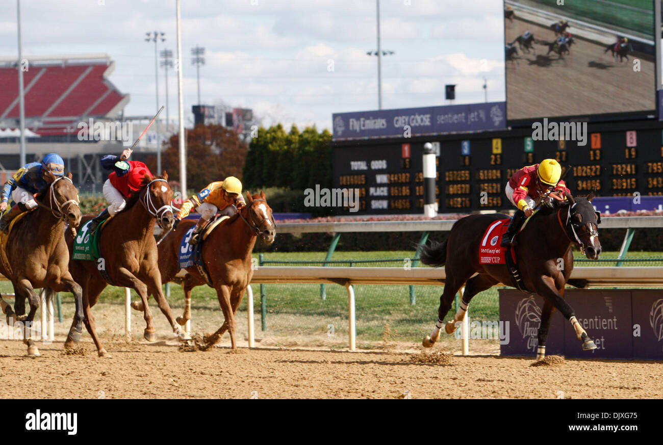 6. November 2010 ziehen - Louisville, Ky, USA - großes Drama und Eibar Coa voraus in die Strecke der fühlenden Jet Breeders' Cup-Sprint in Churchill Downs Samstag, 6. November 2010 zu gewinnen. Foto von Ron Garnison | Personal (Kredit-Bild: © Lexington Herald-Leader/ZUMApress.com) Stockfoto