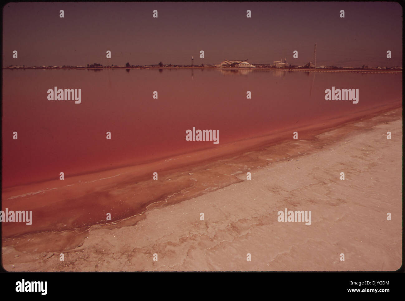 Der Fotograf beschreibt den unangenehmen Geruch in dieser Szene und erfasst das verschmutzte Wasser mit einem starken Schwerpunkt auf seinem schlechten Zustand. Das Image spiegelt Umweltbelange wider. Stockfoto