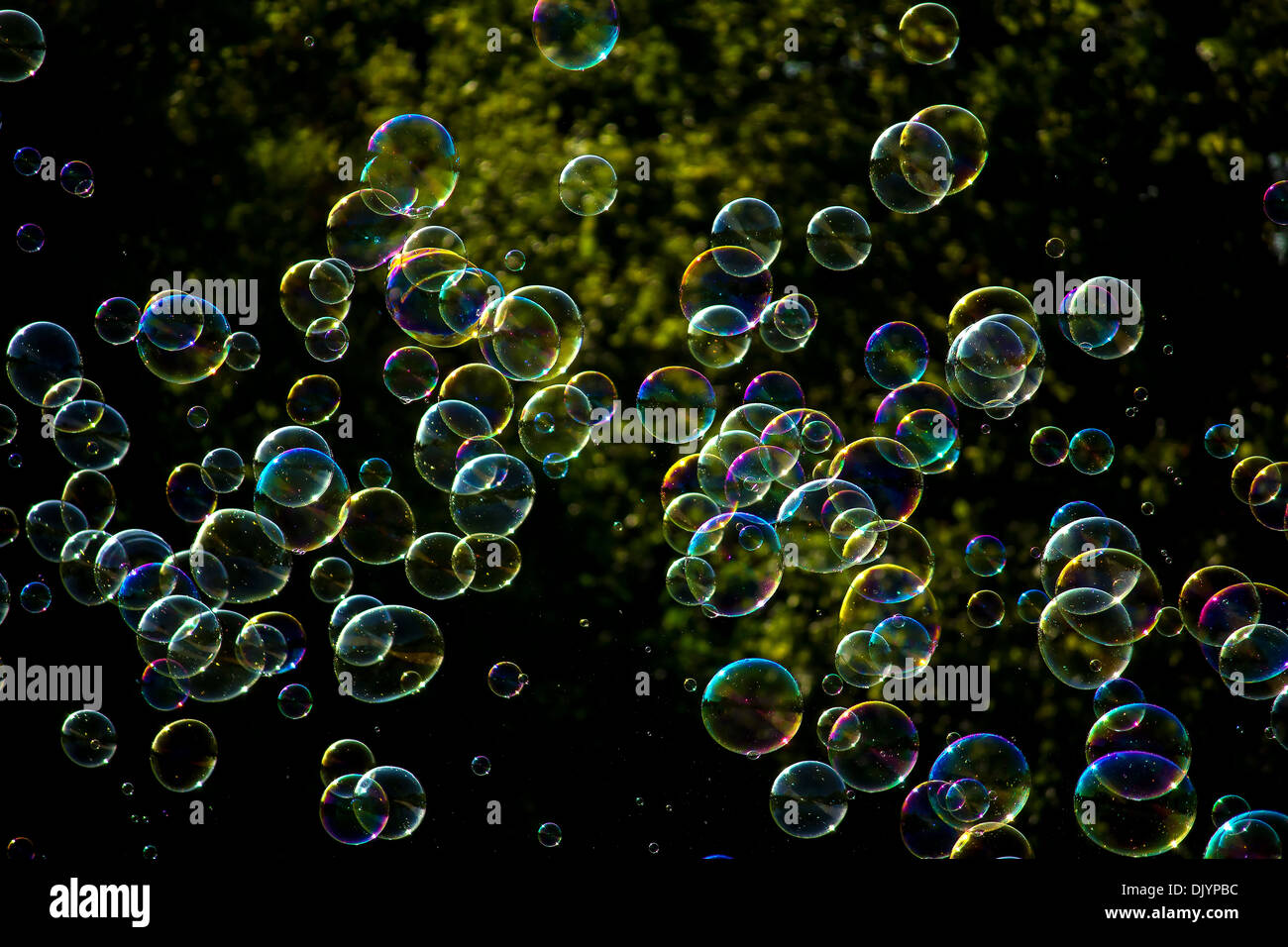bunte schwebende Seifenblasen in der Luft Stockfoto