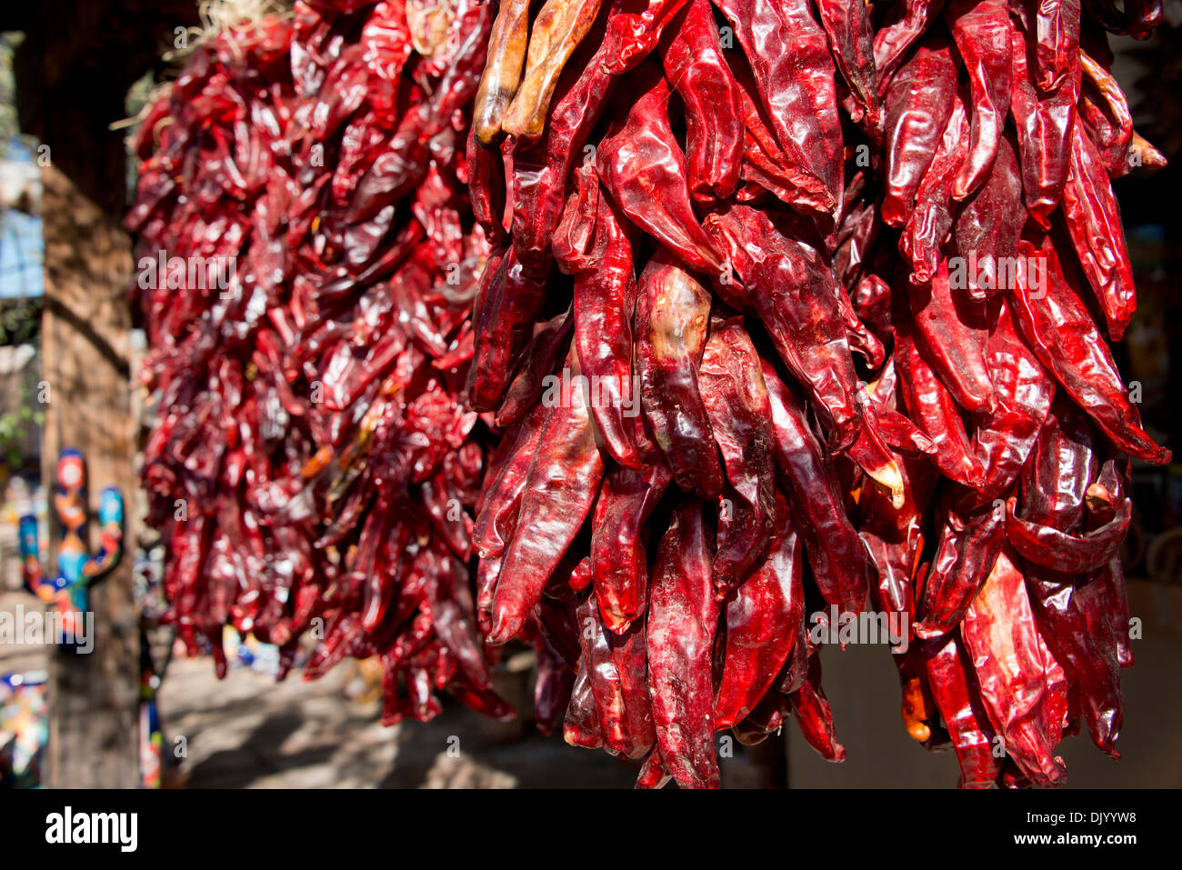 Arizona, Tucson, Tubac. Südwestlich rote Chilli hängenden Trauben zum trocknen. Stockfoto