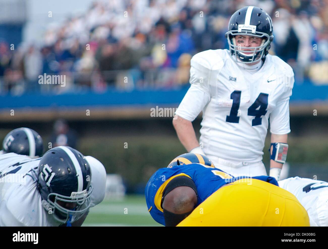 13. Dezember 2010 - Newark, Delaware, Vereinigte Staaten von Amerika - Georgia Southern QB #14 Jaybo Shaw-Einstellung, um ein Spiel in der Red-Zone während der Division I FCS Meisterschaft Halbfinale an Delaware heruntergekommen. Nr. 3 Delaware Niederlagen Georgia Southern 27-10 an einem kalten Samstag Nachmittag im Stadium der Delaware in Newark Delaware... Delaware fahren nach Texas für die Division I FCS nationalen Champi Stockfoto