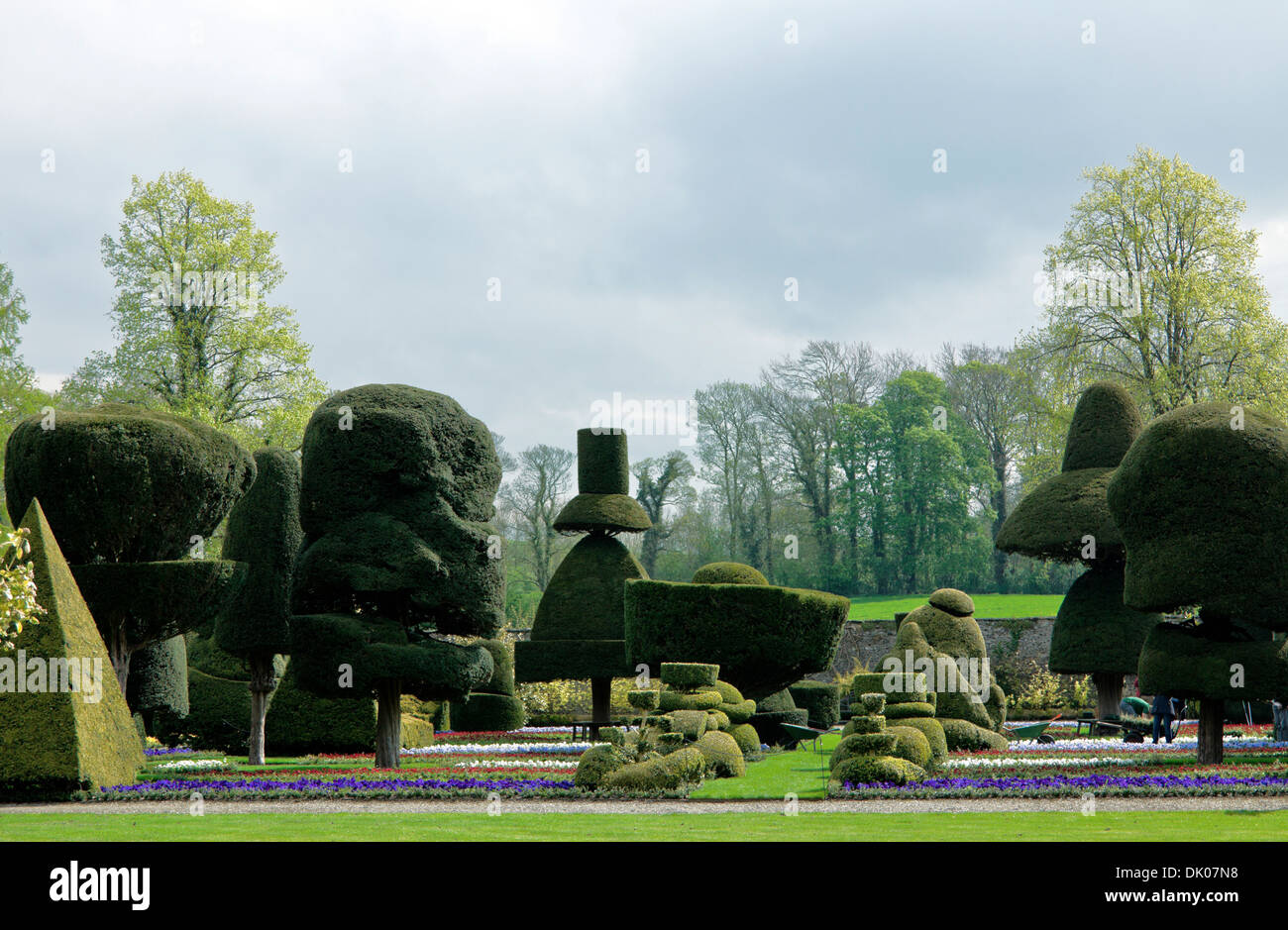 Der berühmte Topiary Garten von Levens Hall, Kendal, Lake District, England, Großbritannien, Vereinigtes Königreich. Stockfoto