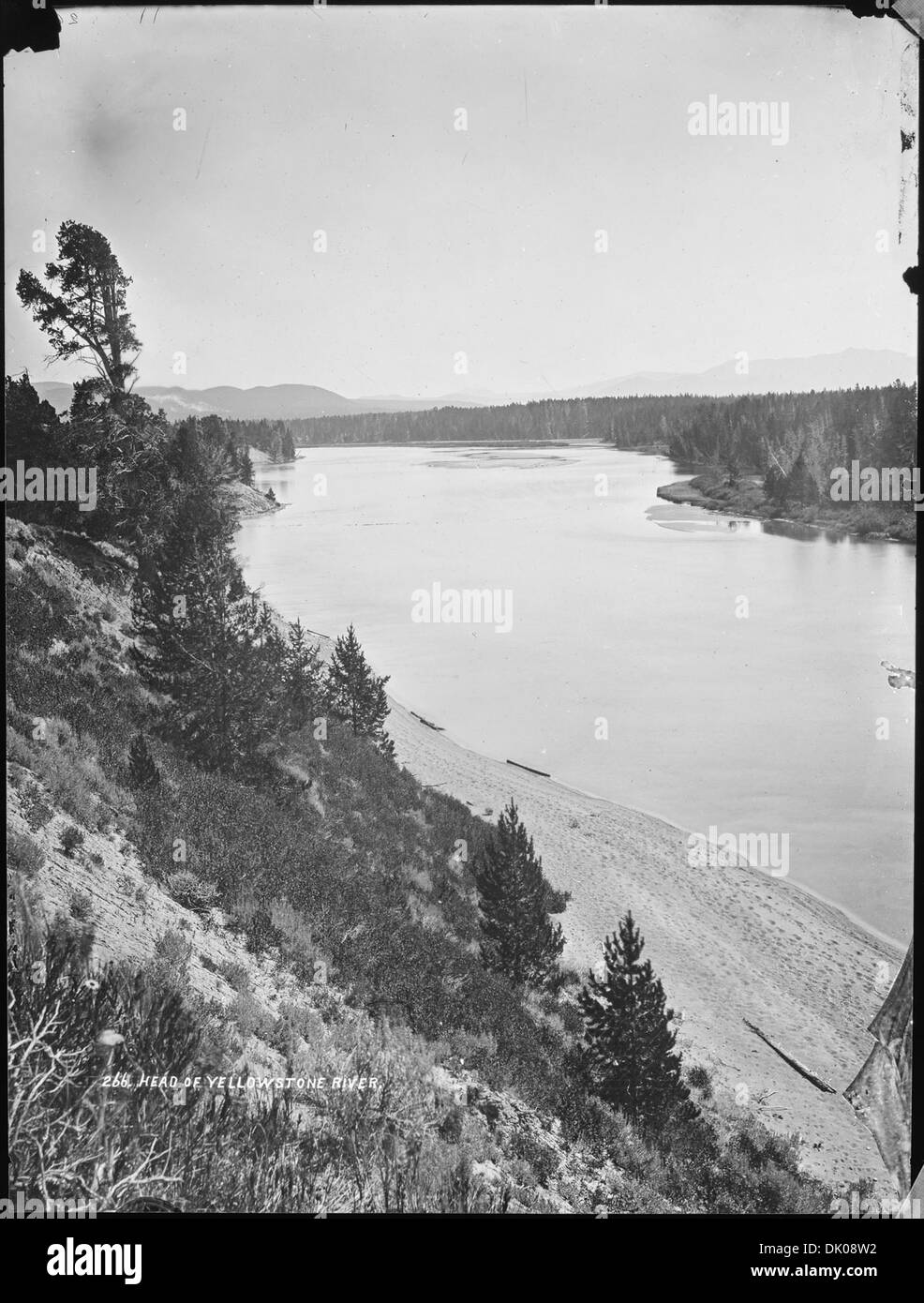 Der Quellgebiet des Yellowstone River liegt in den Rocky Mountains von Wyoming. Dieser Fluss ist der längste unbefestigte Fluss der USA und fließt durch den Yellowstone-Nationalpark in Montana und North Dakota. Stockfoto