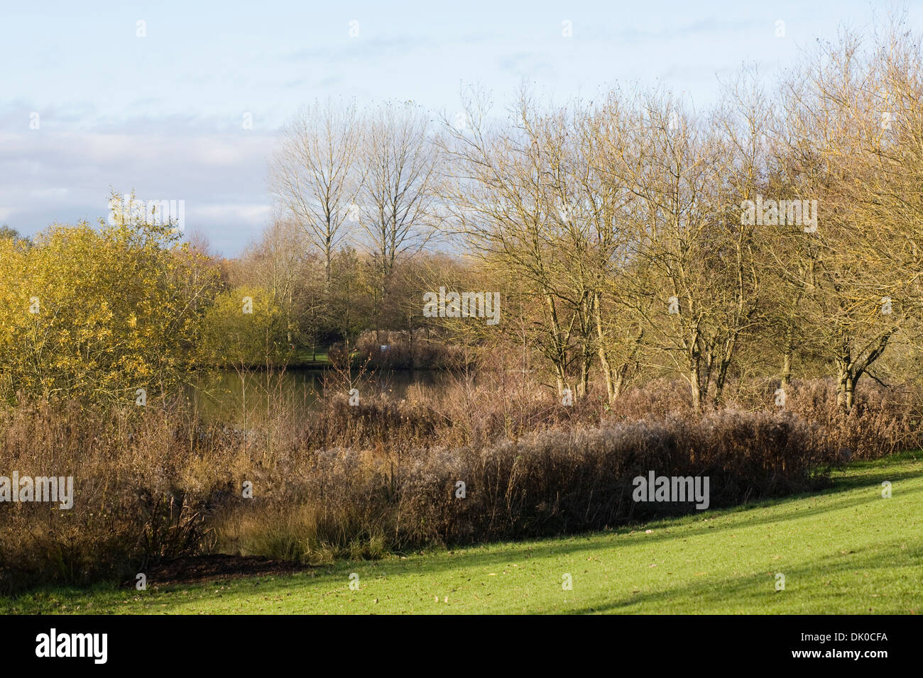 See in einem englischen Park im Spätherbst. Stockfoto