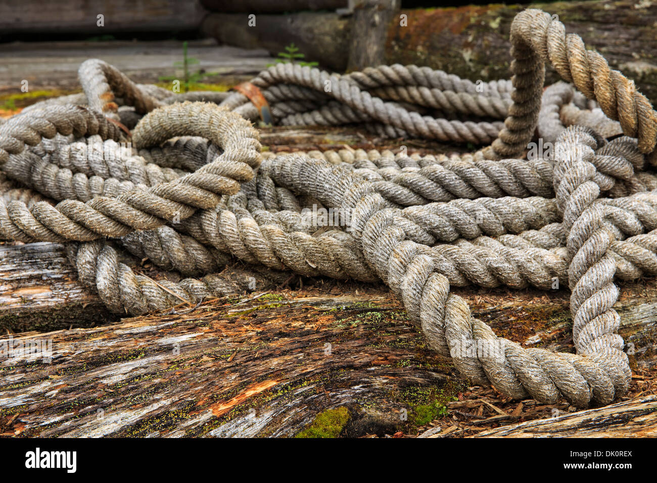 Vintage Seil im Algonquin Logging Museum, Algonquin Provincial Park, Ontario, Kanada Stockfoto