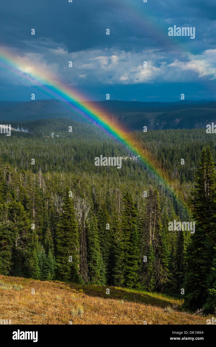 Ein Regenbogen erscheint, nachdem ein plötzlicher Sturm am Nachmittag die Ostseite des Yellowstone National Park fiel Stockfoto