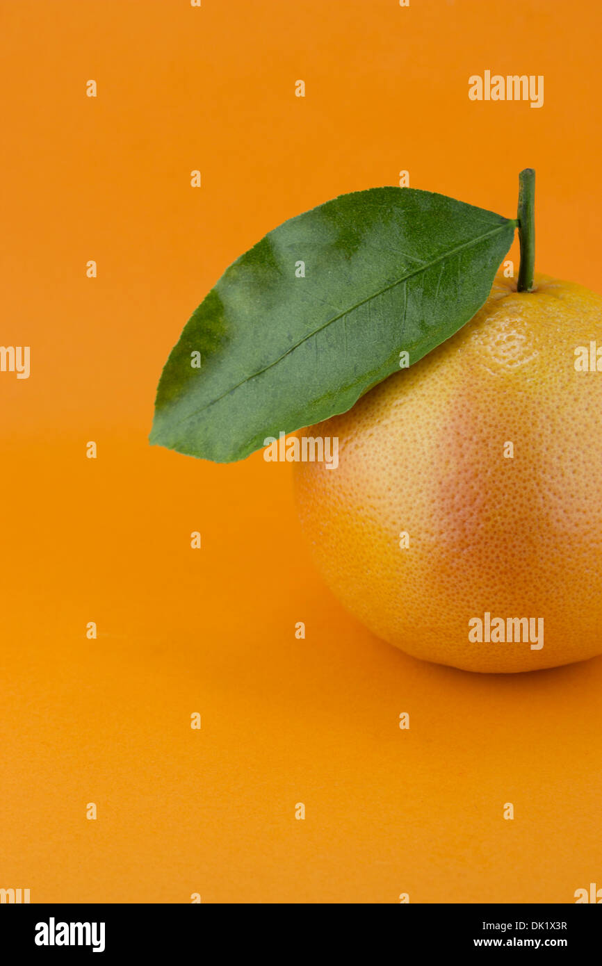 Reife appetitlich Grapefruit mit Blatt auf orangem Hintergrund. Stockfoto