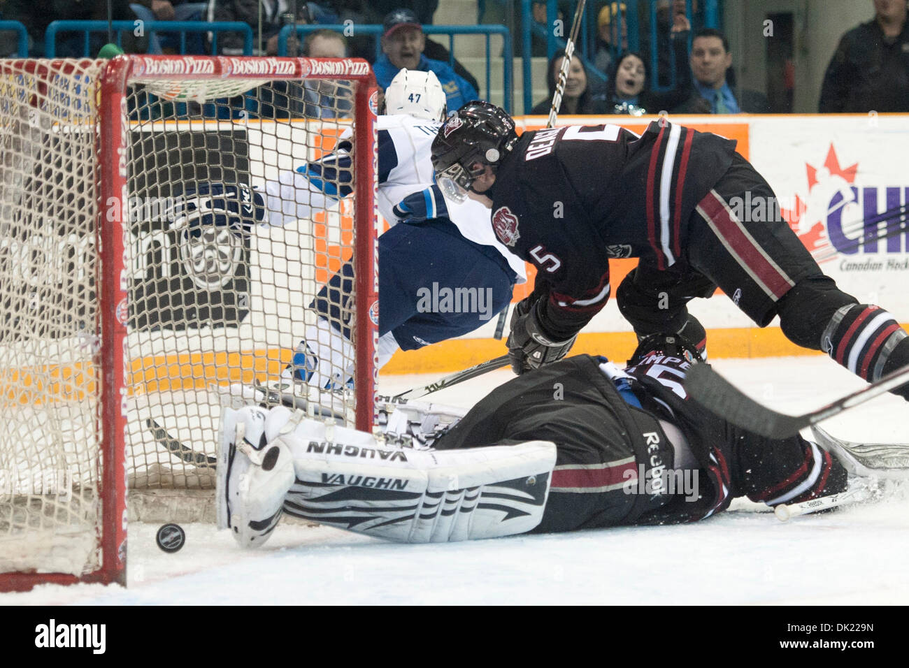 1. Februar 2011 - Saskatoon, Saskatchewan, Kanada - Saskatoon Blades Verteidiger Dalton Werfer (#47) erzielt ein Tor in Aktion während der Saskatoon Blades Vs Red Deer Rebels Spiel im Credit Union Centre in Saskatoon. (Kredit-Bild: © Derek Mortensen/Southcreek Global/ZUMAPRESS.com) Stockfoto