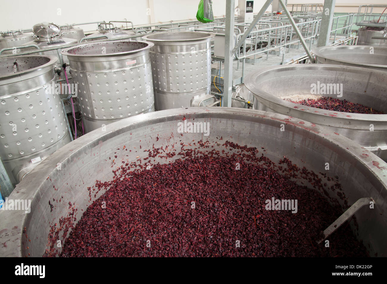 Rote Weintrauben Gärung in Edelstahl öffnen Fermenter in eine moderne australische Kellerei Stockfoto