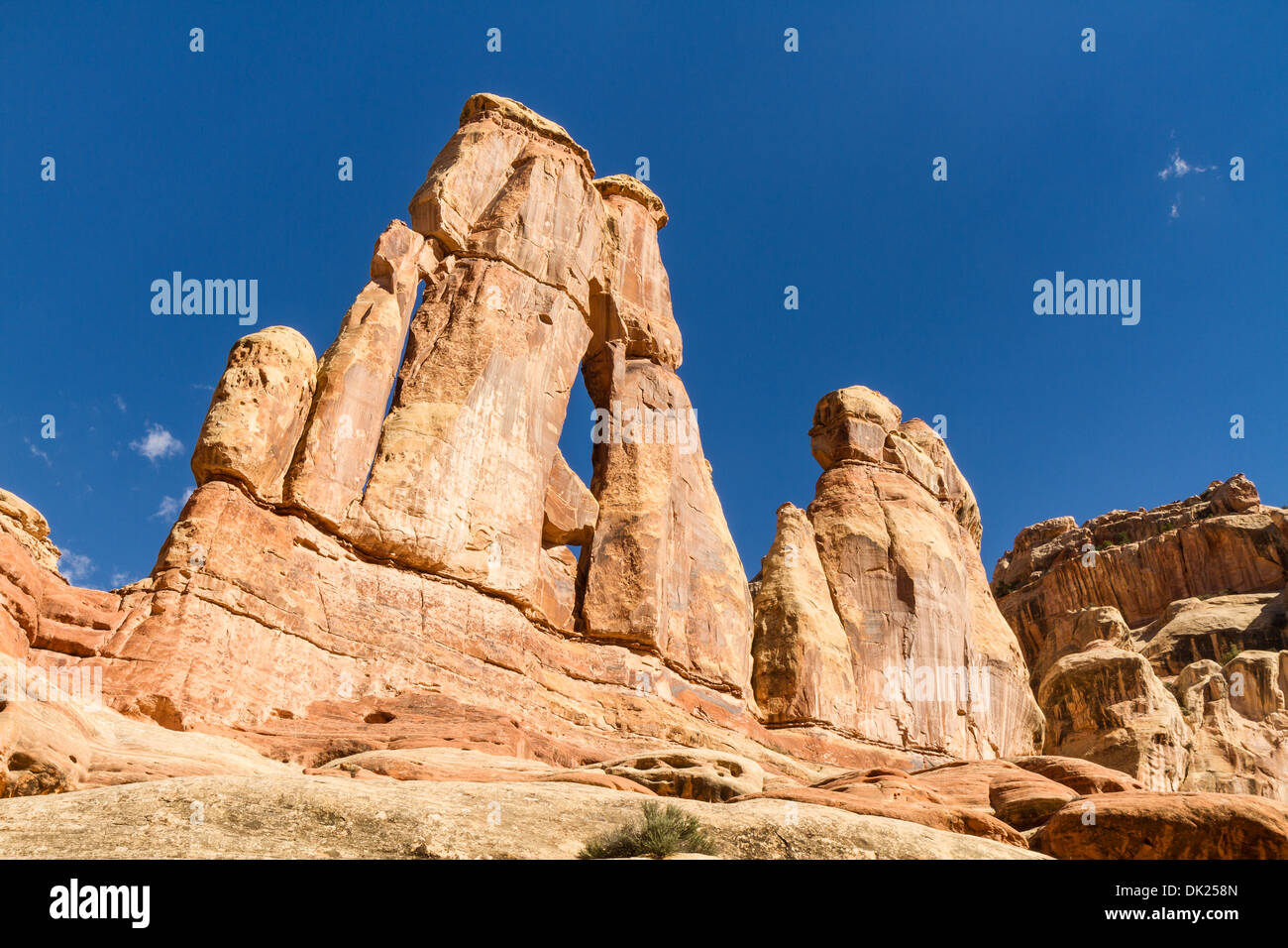 Ikonische Druid Arch im Elephant Canyon gesehen von der Westseite in die Nadeln Bezirk des Canyonlands National Park, Utah Stockfoto