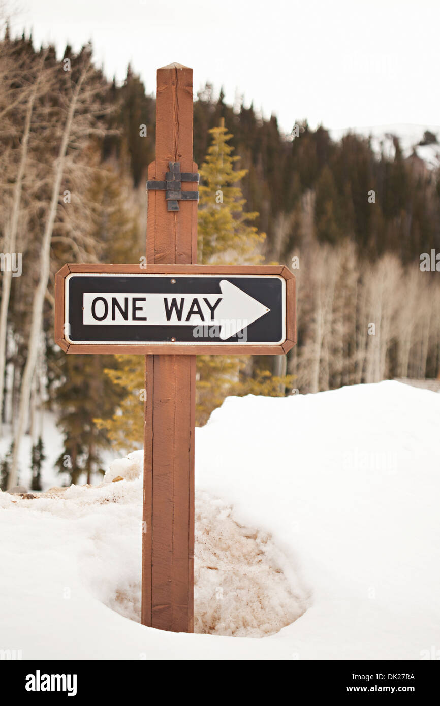 "One Way" Richtung Pfeilmarkierung auf Post in verschneiten Wäldern Stockfoto