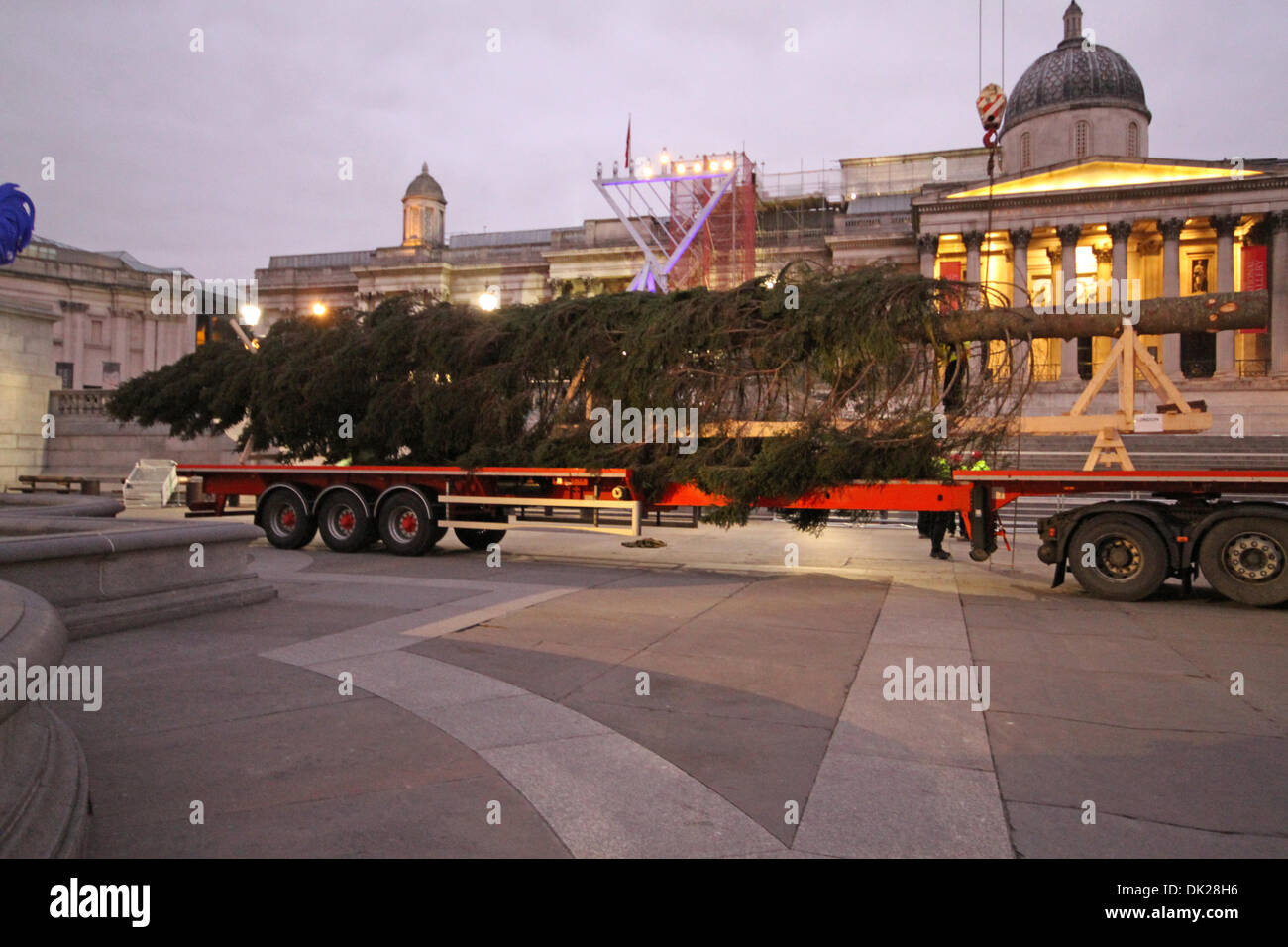 London, UK. 2. Dezember 2013. Der riesige Weihnachtsbaum angekommen auf dem Trafalgar Square mit dem LKW bereit, heute Morgen Credit errichtet werden: Keith Larby/Alamy Live News Stockfoto