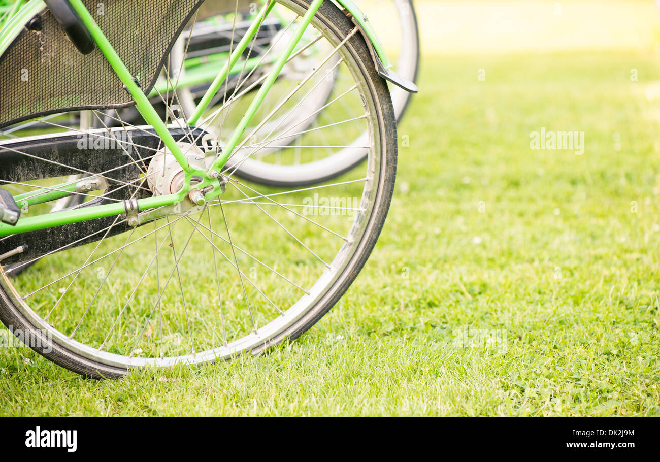 Sommer Urlaub Erholung. Nahaufnahme des Fahrrad-Rad auf dem grünen Rasen, Schweden. Stockfoto