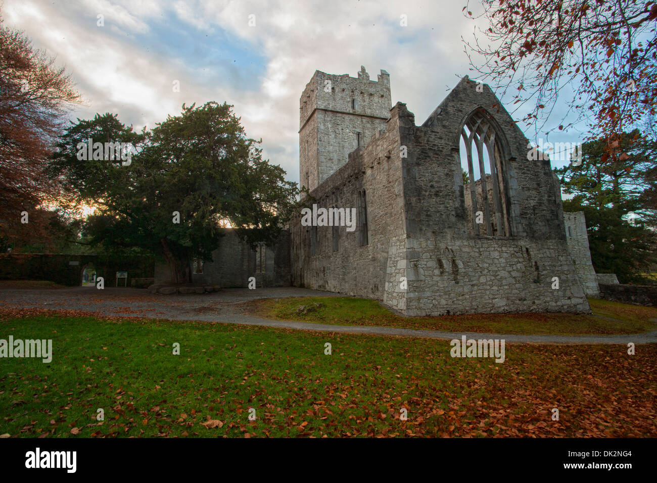 Muckross Abbey im Herbst Stockfoto