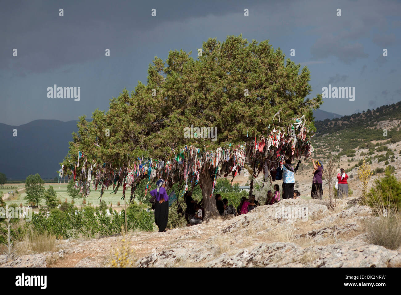 Alevitischen Menschen binden Bänder auf einem Wunsch-Baum in der Tekke Köyü Abdal Musa Schrein Elmalı Antalya Türkei Stockfoto