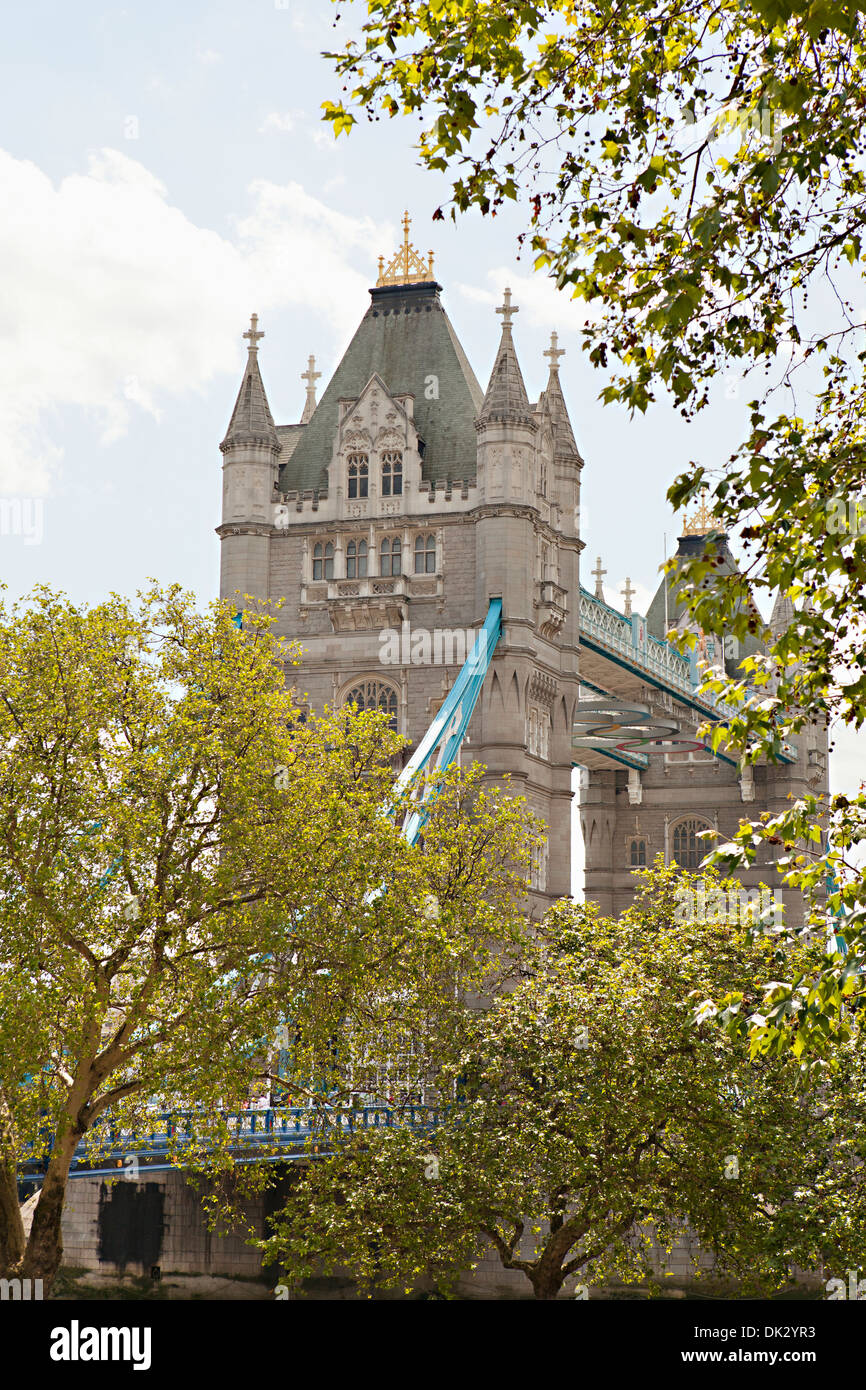 Bäume vor der Tower Bridge, London, England, Vereinigtes Königreich Stockfoto