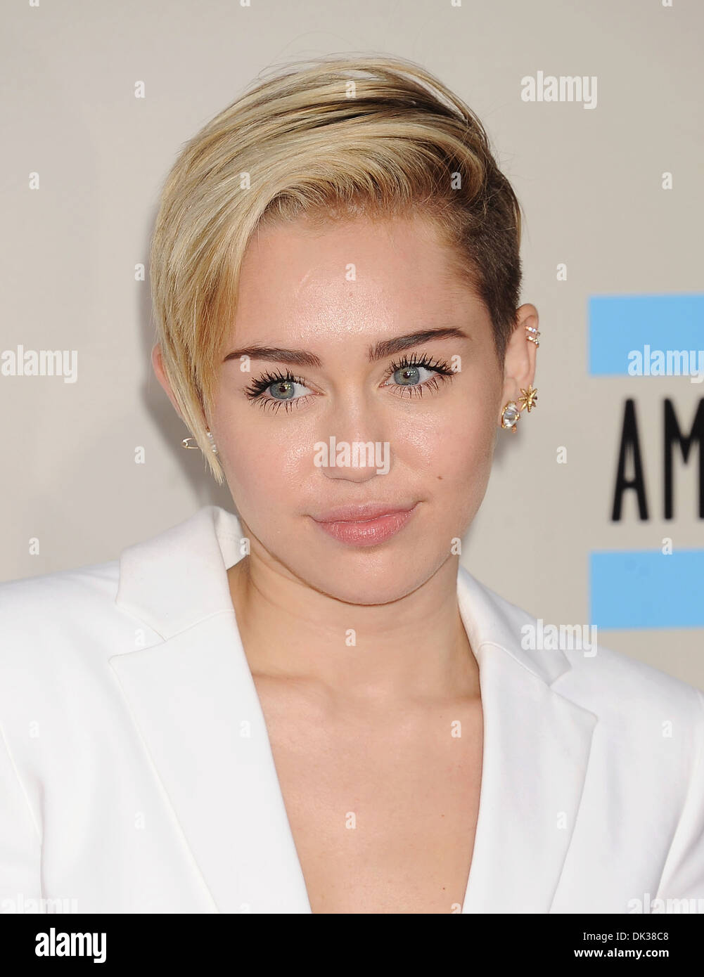 MILEY CYRUS, USamerikanische Sängerin und Schauspielerin im November 2013. Foto Jeffrey Mayer