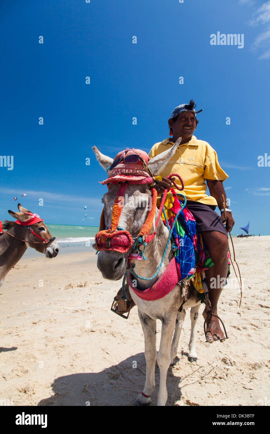 Esel reiten auf Bezirk Strand, Cumbuco, Fortaleza, Brasilien. Stockfoto