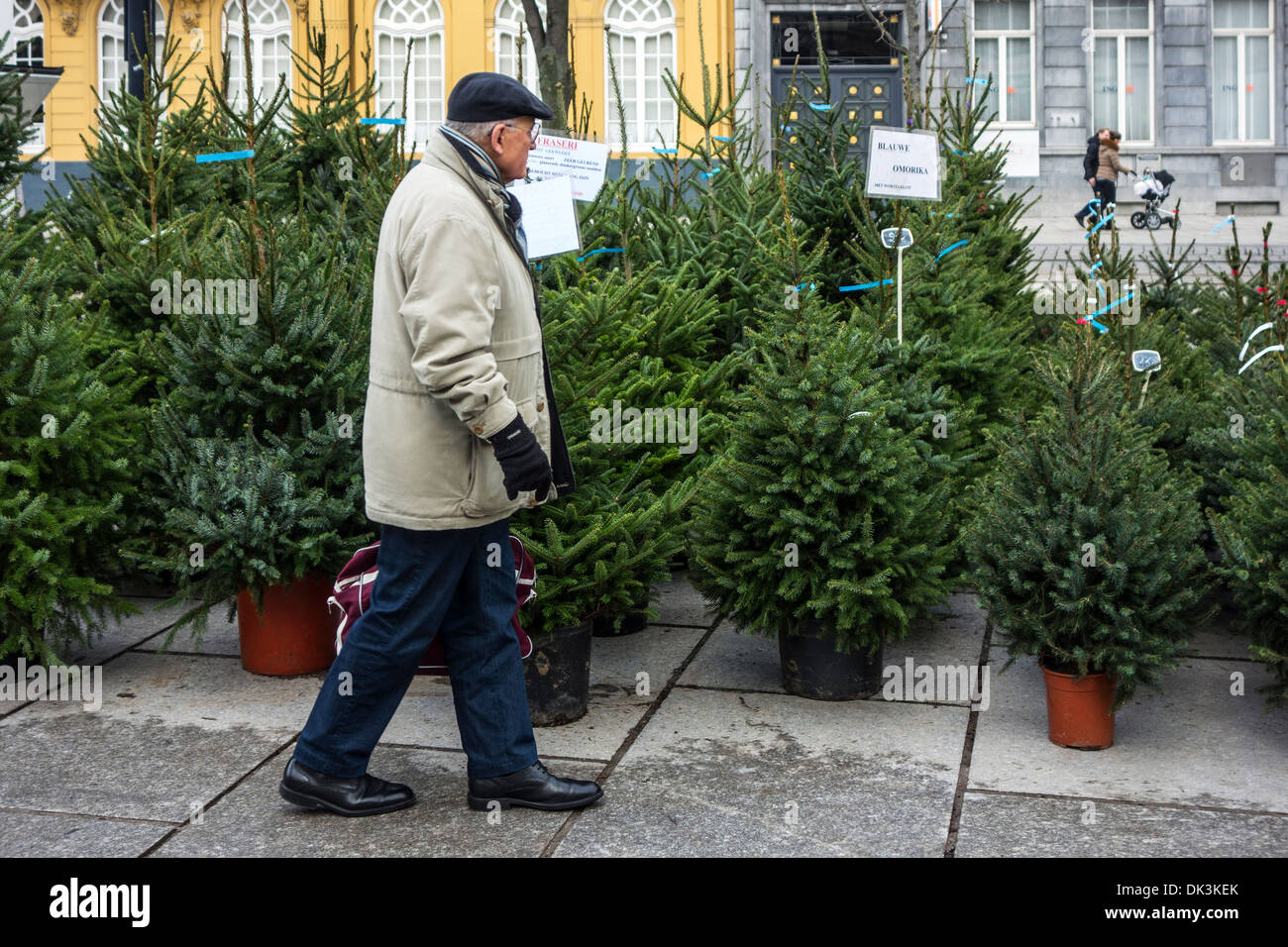 Älterer Mann für einen Weihnachtsbaum auf Xmas shopping Bäume Markt im winter Stockfoto