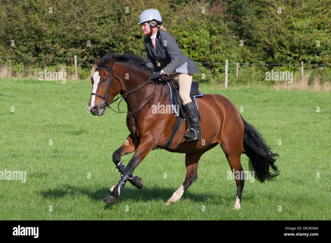 Pferd springen Eventing Kreuz Land Pferde Sport Sprung zeigen ländlichen Bauernhof Feld grau Gymkhana Godshill Isle Of Wight England UK Stockfoto