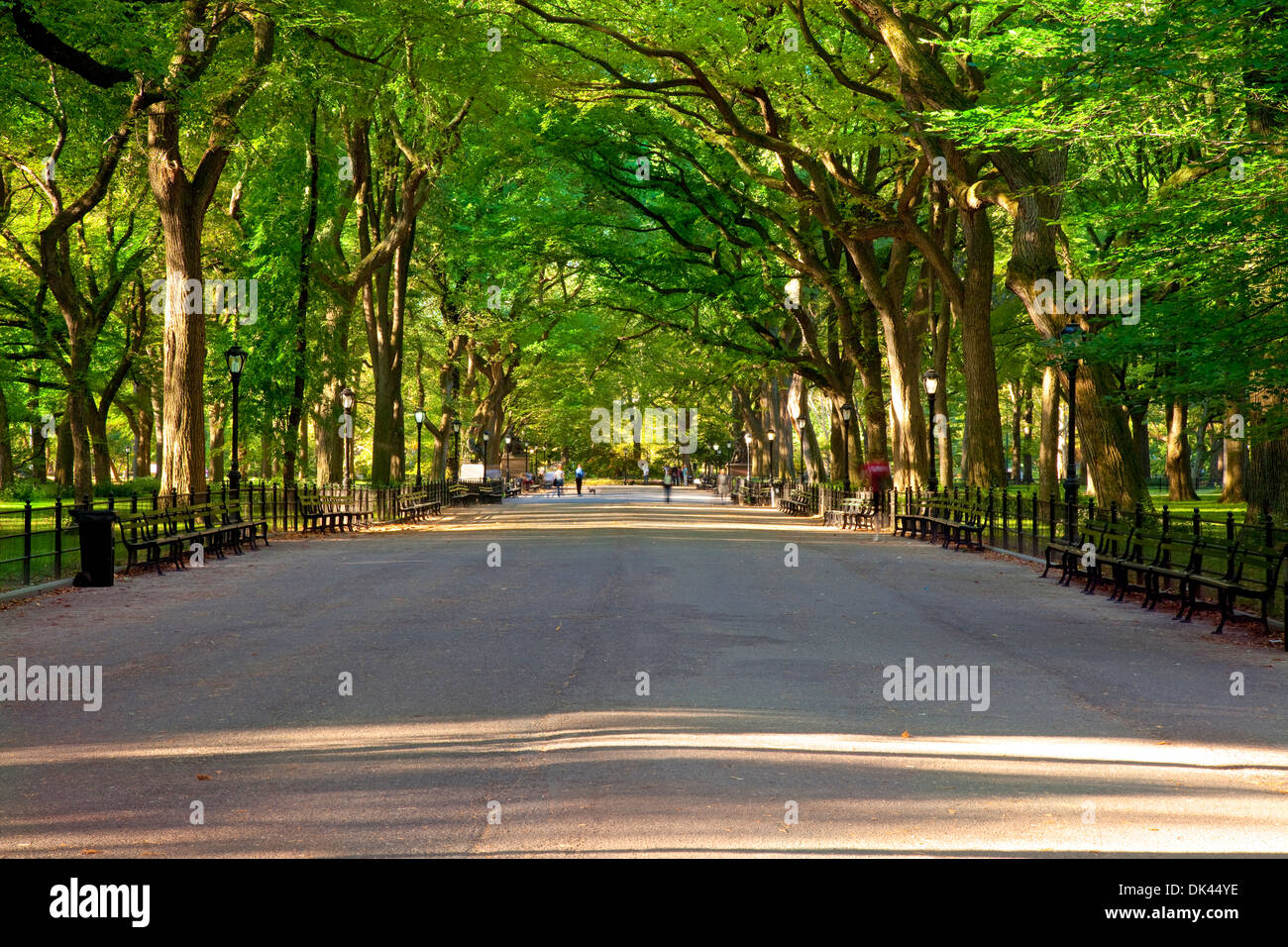 Am frühen Morgen im Central Park in Manhattan New York City USA Stockfoto
