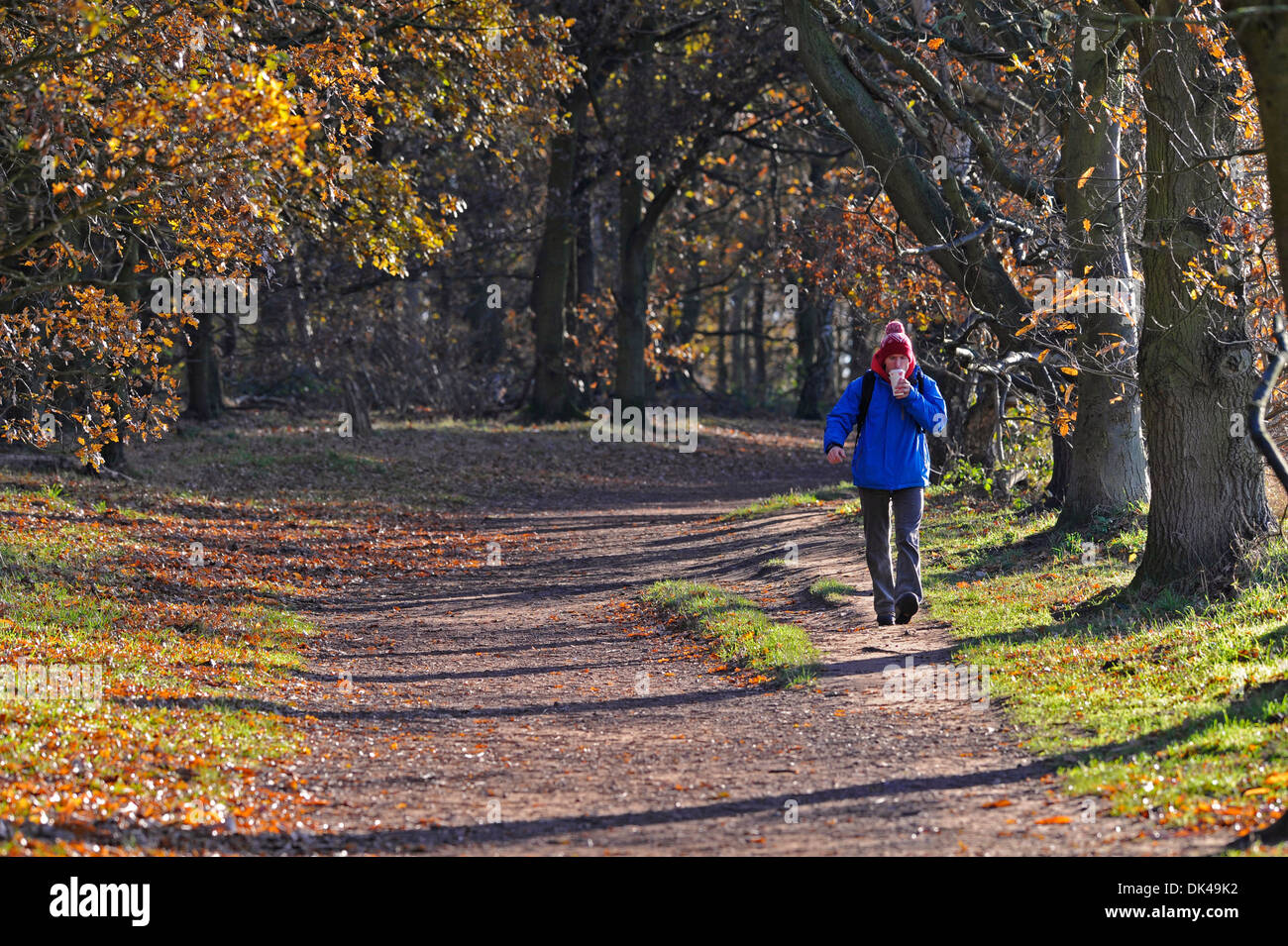 Mann trägt Winterkleidung und eine Wollmütze und trinken während allein einen Waldweg zu Fuß. Stockfoto