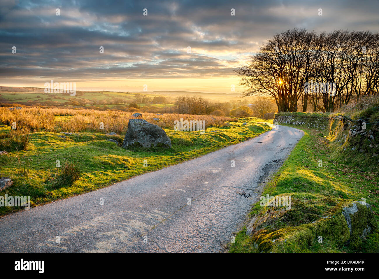 Ein Feldweg führt durch Bodmin Moor in Cornwall Stockfoto