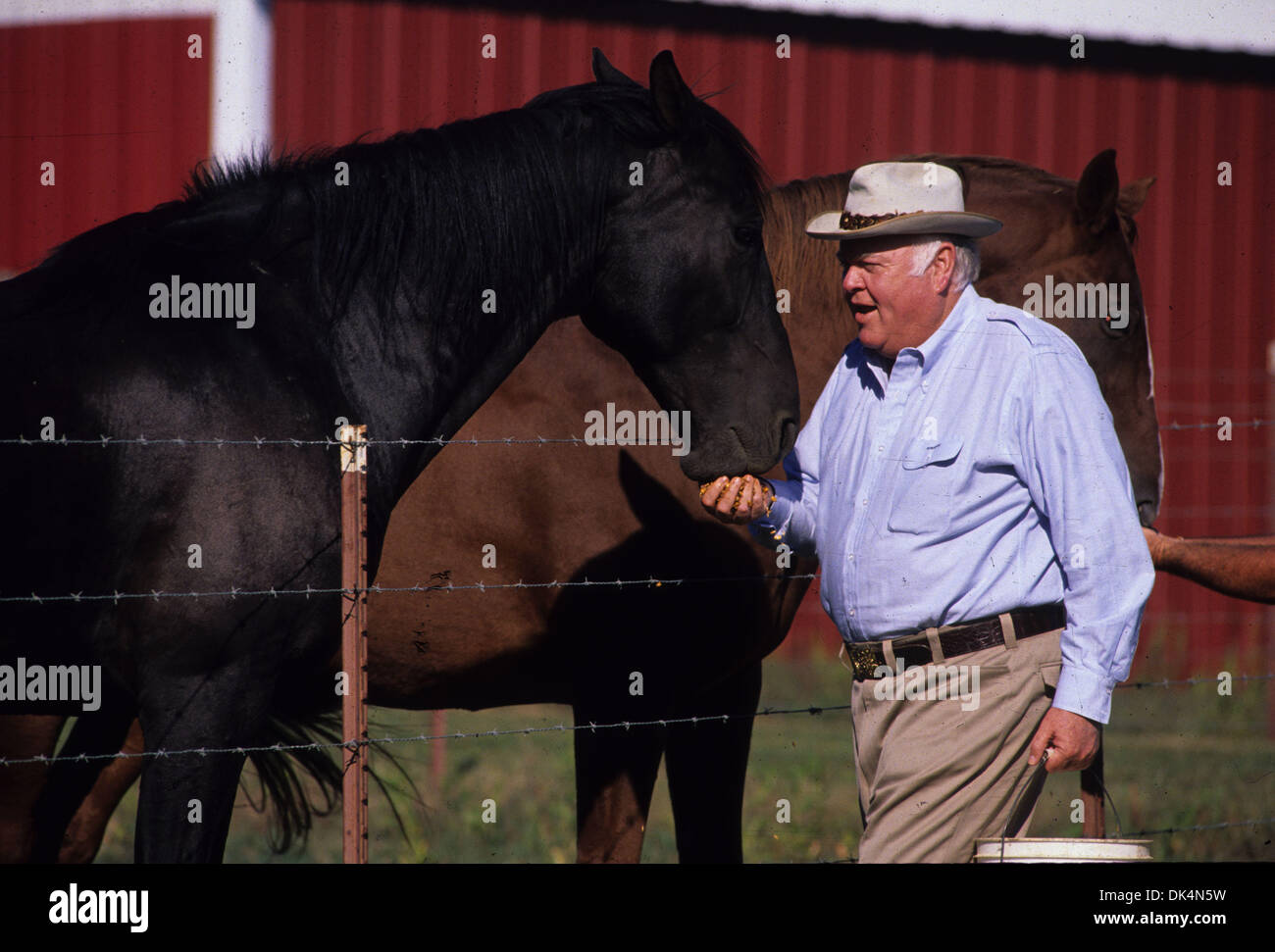 9. April 2011 - füttert Dresden, TN, USA - 26. September 1990 - Tennessee Gouverneur Ned McWherter seine Pferde Blackjack und Ole Ned an seinem 1.117 Hektar verteilt in der Nähe von Dresden im Herbst 1990. Trotz bescheidenen Anfängen und eine dauerhafte Leidenschaft für die einfachen Freuden übt er enorme Macht aus der Beherrschung der zwei Welten aus Wirtschaft und Politik. Eine ländliche West Tennessee-Pächter " Stockfoto