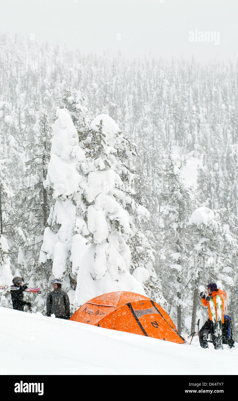 27. Februar 2011 vorbereiten - Missoula, Montana, USA - Sarah Ogburn (schwarze Jacke), Matt Cornette (graue Jacke) und Pete Barrett (orange Jacke) Camp... Skifahrer-Camp und Ski im Hinterland von den Bitterroot Bergen von Montana. (Kredit-Bild: © Jed Conklin/ZUMAPRESS.com) Stockfoto