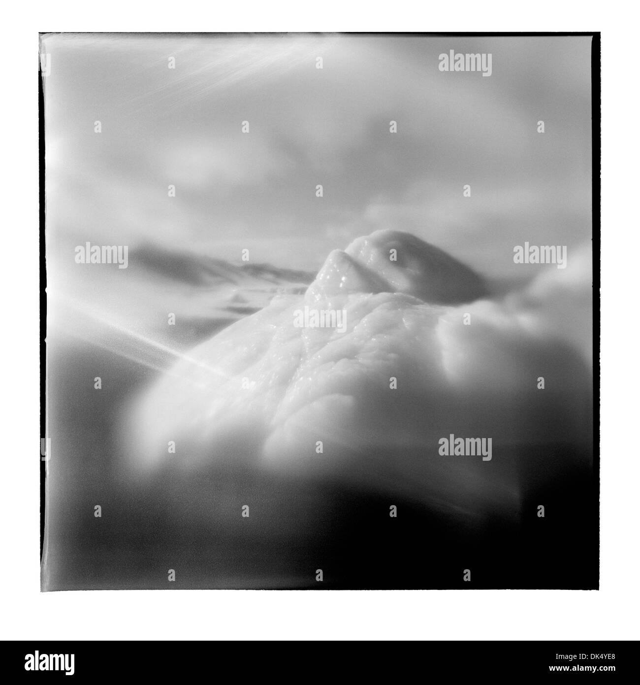 Antarktis, Deception Island, verschwommene schwarz-weiß Bild des Eisbergs auf Küstenlinie auf Süd-Shetland-Inseln Stockfoto