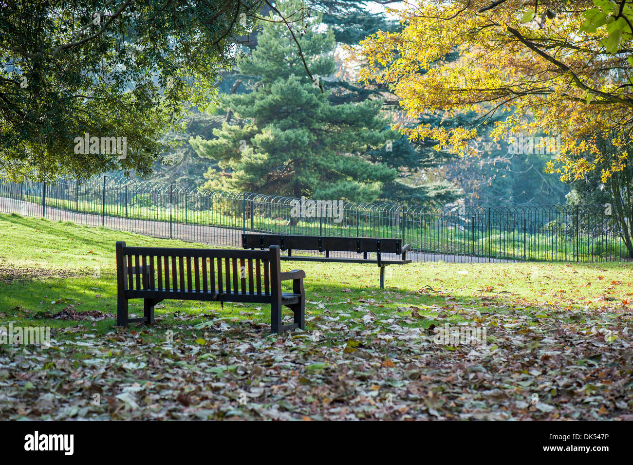 Ravenscourt Park, Hammersmith, London, Vereinigtes Königreich Stockfoto