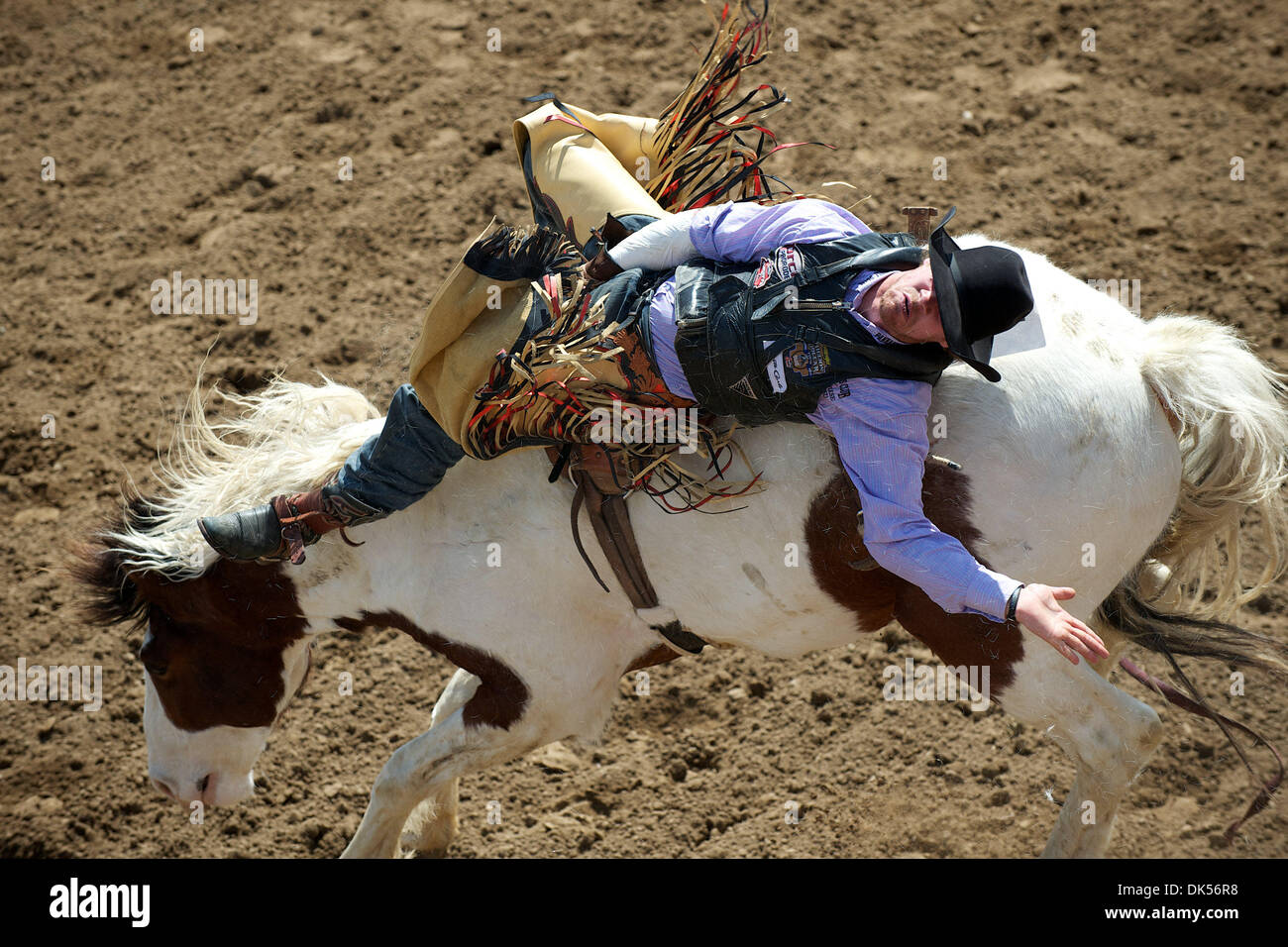 24. April 2011 - Clovis, Kalifornien, US - Fahrten Joe Gunderson Agar, SD Charley Russell beim Clovis Rodeo. (Kredit-Bild: © Matt Cohen/Southcreek Global/ZUMAPRESS.com) Stockfoto