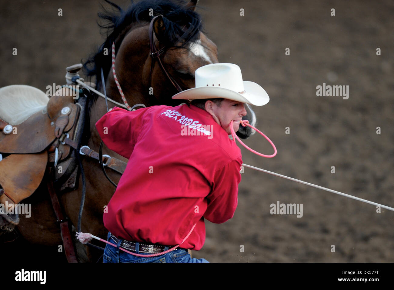 23. April 2011 - Clovis, Kalifornien, US - konkurriert Jeremiah Peek Pueblo, Co während Tie-Down Abseilen Flaute bei den Clovis Rodeo. (Kredit-Bild: © Matt Cohen/Southcreek Global/ZUMAPRESS.com) Stockfoto