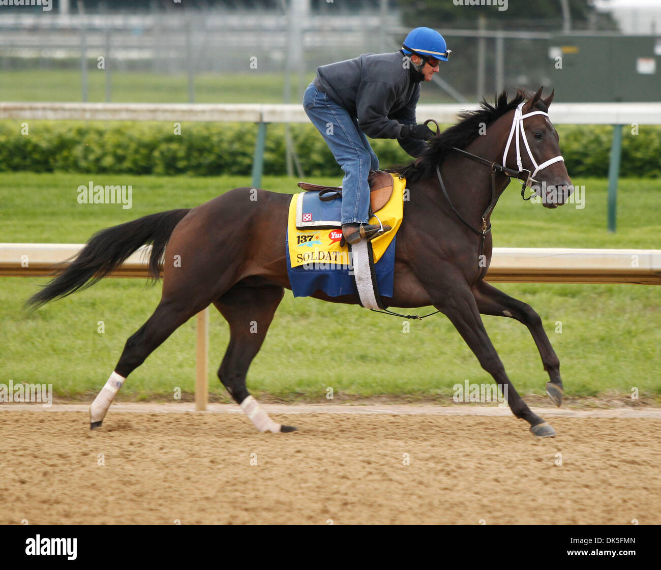 4. Mai 2011 - USA - Soldat mit Danny Wright, während der Vorbereitung auf die 137. Kentucky Derby am Mittwoch, 4. Mai 2011 in Louisville, Kentucky, Louisville, KY  Foto: Mark Cornelison | Personal. (Kredit-Bild: © Lexington Herald-Leader/ZUMAPRESS.com) Stockfoto