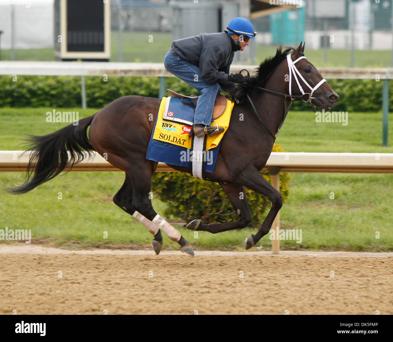 4. Mai 2011 - USA - Soldat mit Danny Wright, während der Vorbereitung auf die 137. Kentucky Derby am Mittwoch, 4. Mai 2011 in Louisville, Kentucky, Louisville, KY  Foto: Mark Cornelison | Personal. (Kredit-Bild: © Lexington Herald-Leader/ZUMAPRESS.com) Stockfoto