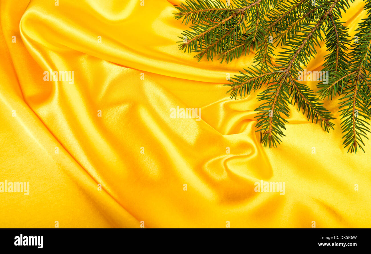 Baum Tannenzweig über gelbe Seide Stockfoto