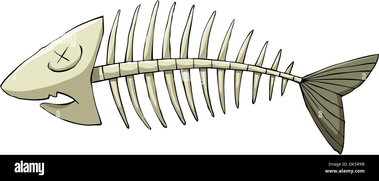 Fischgräte auf weißem Hintergrund, Vektor-illustration Stock Vektor