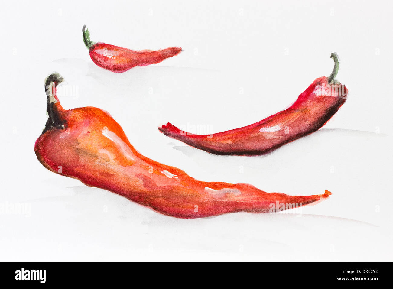 Die Perspektive von den hot Chili Peppers. Handgemachte Aquarellmalerei auf professionell strukturierten Papier Stockfoto