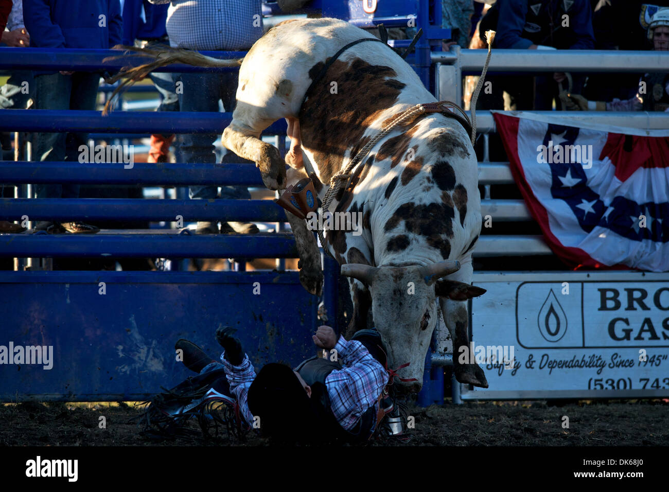 28. Mai 2011 - Marysville, Kalifornien, USA - Justin Bechtel von Yuba City, CA wird aus T168 in Marysville Stampede in Cotton Rosser Arena in Marysville, CA. bockte (Credit-Bild: © Matt Cohen/Southcreek Global/ZUMAPRESS.com) Stockfoto