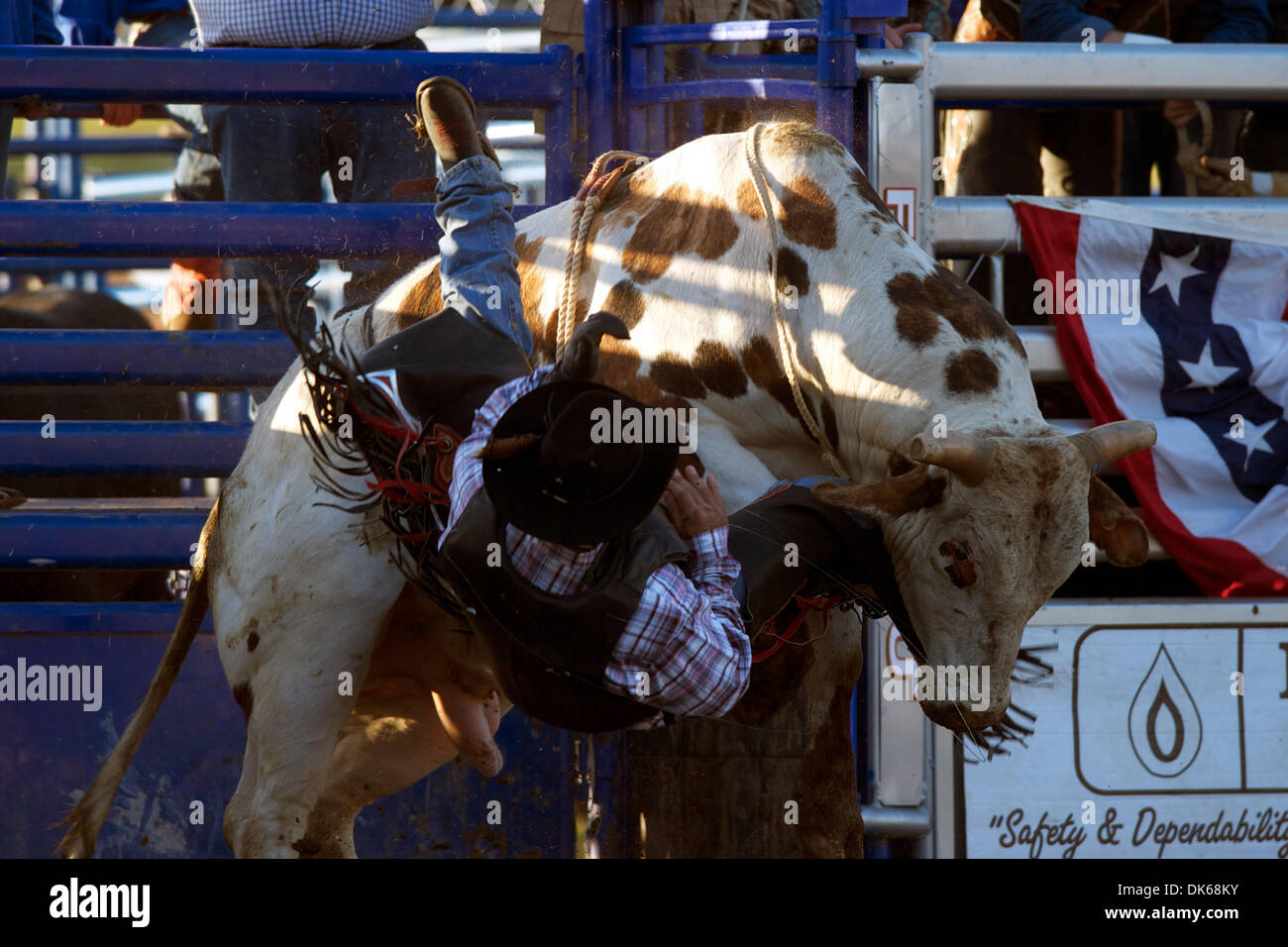 28. Mai 2011 - Marysville, Kalifornien, USA - Justin Bechtel von Yuba City, CA wird aus T168 in Marysville Stampede in Cotton Rosser Arena in Marysville, CA. bockte (Credit-Bild: © Matt Cohen/Southcreek Global/ZUMAPRESS.com) Stockfoto