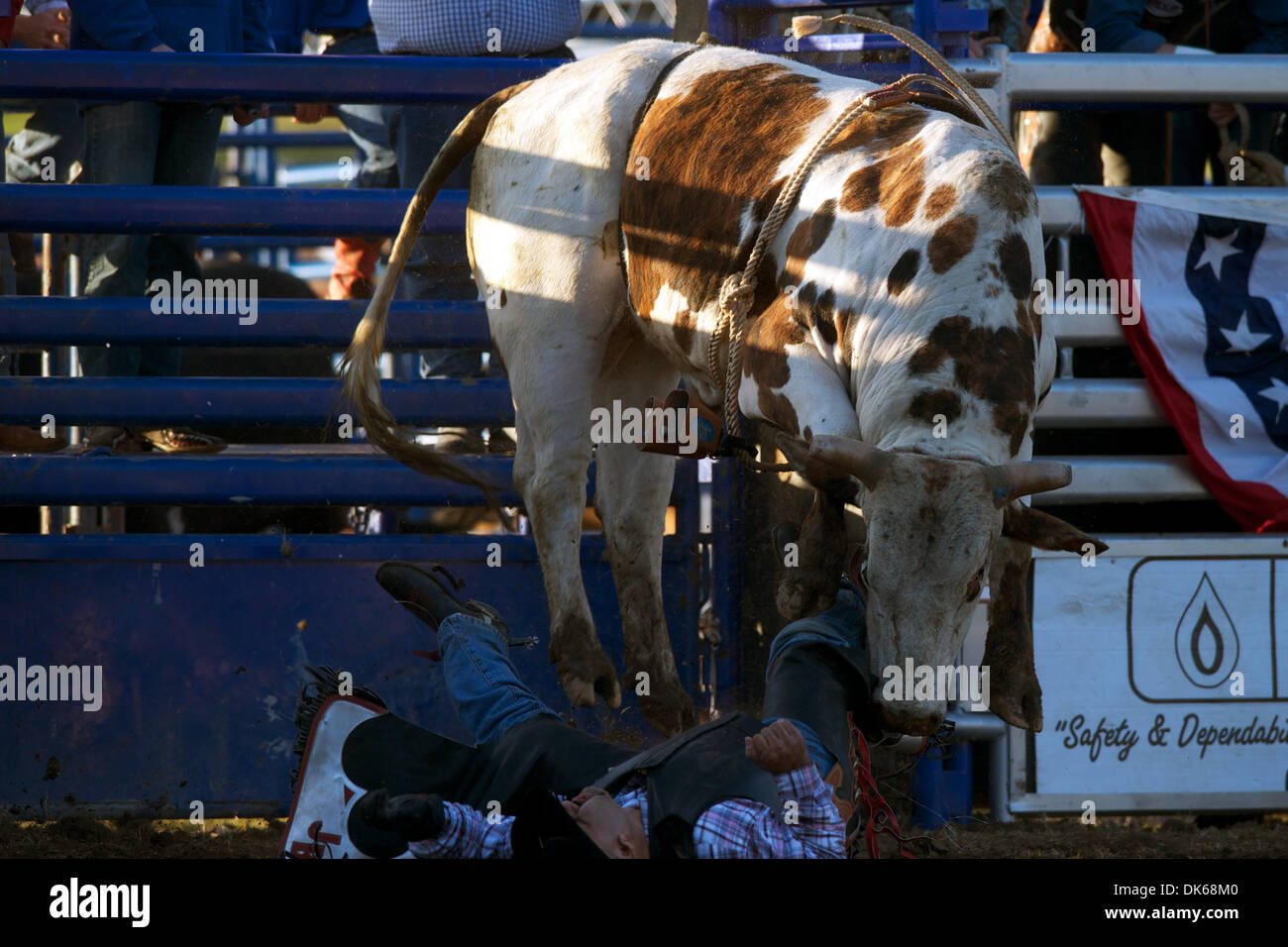 28. Mai 2011 - Marysville, Kalifornien, USA - Justin Bechtel von Yuba City, CA wird aus T168 in Marysville Stampede in Cotton Rosser Arena in Marysville, CA. bockte (Credit-Bild: © Matt Cohen/Southcreek Global/ZUMAPRESS.com) Stockfoto