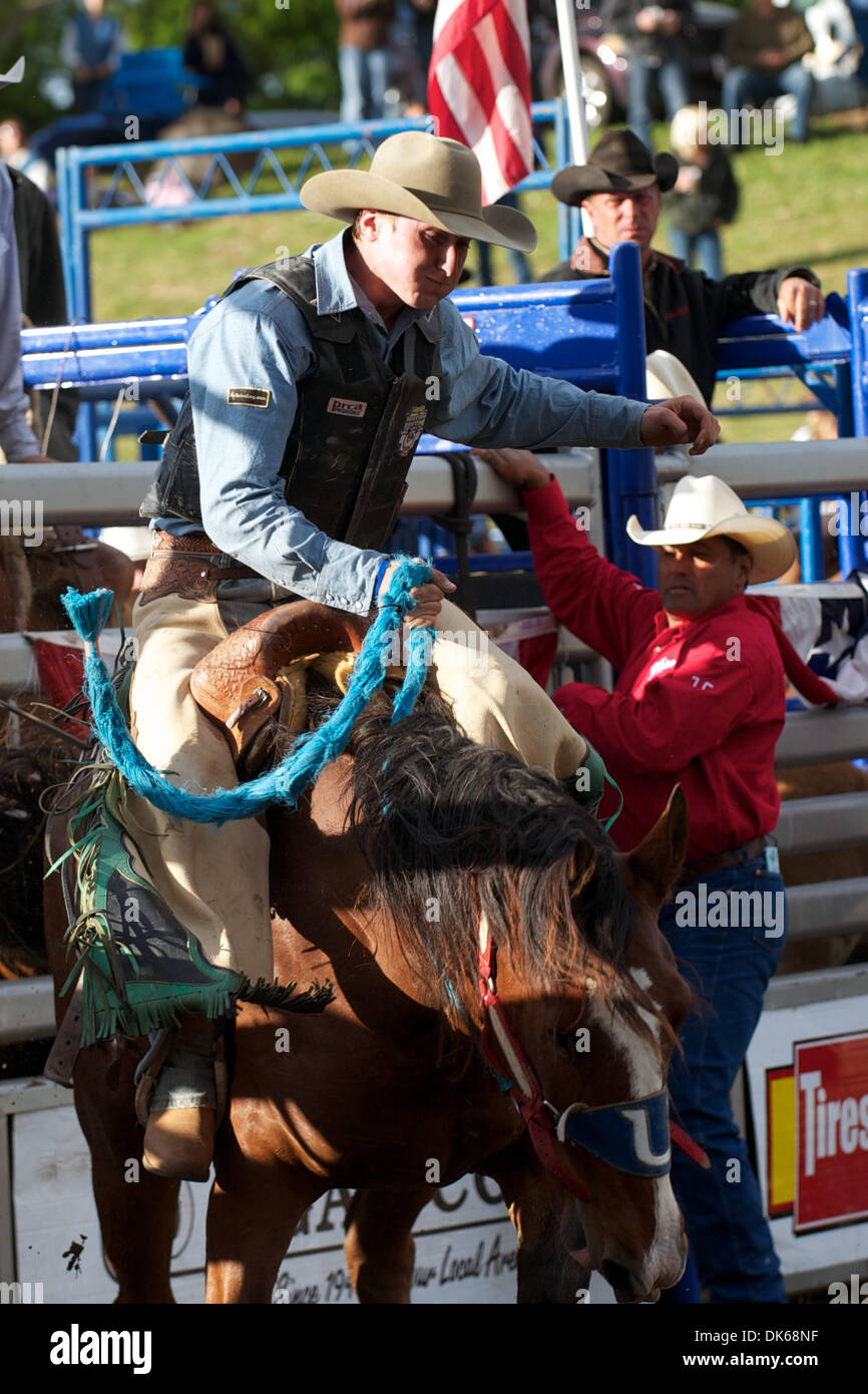 28. Mai 2011 - Marysville, Kalifornien, USA - Mert Bradshaw von Eagle Point, oder reitet 667 in Marysville Stampede in Cotton Rosser Arena in Marysville, CA. (Credit-Bild: © Matt Cohen/Southcreek Global/ZUMAPRESS.com) Stockfoto
