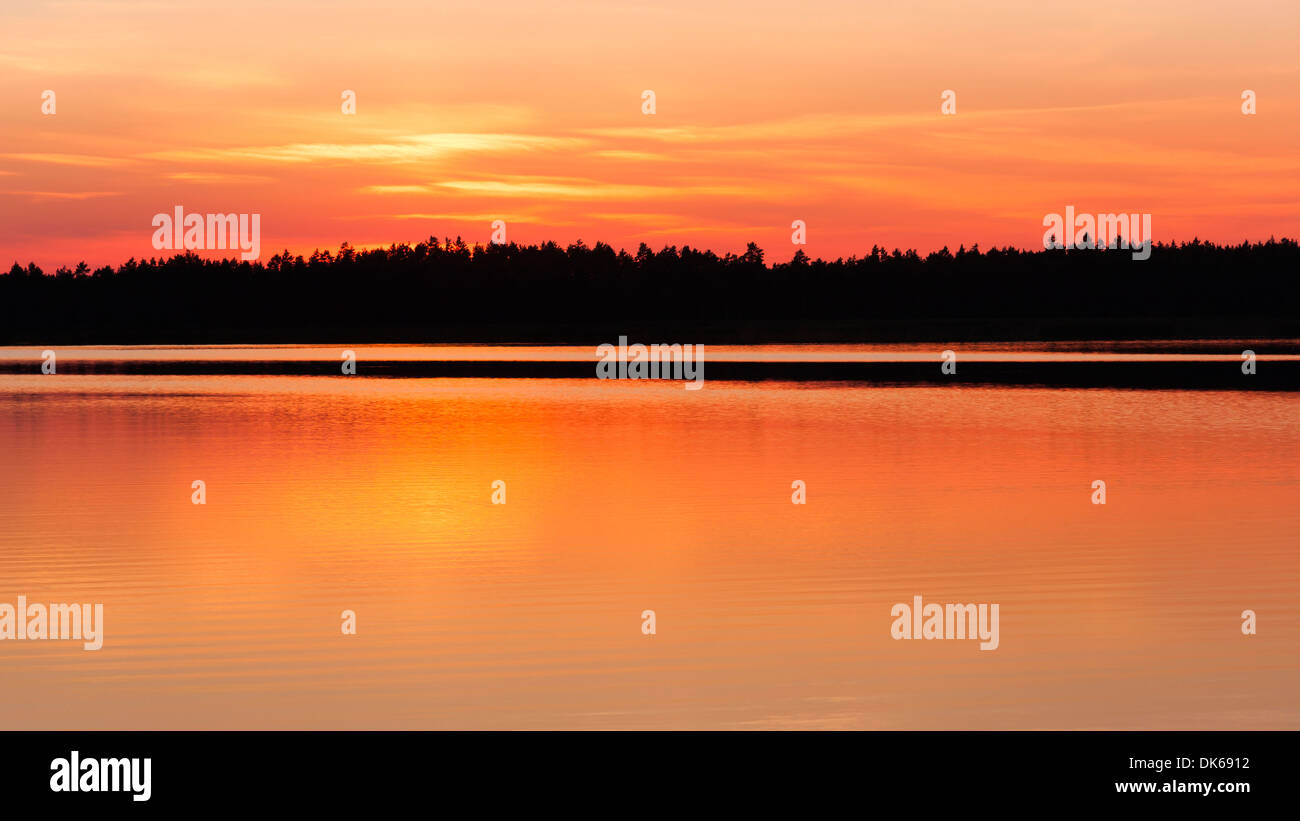 Goldener Sonnenuntergang und Wald Silhouette im Hintergrund Stockfoto