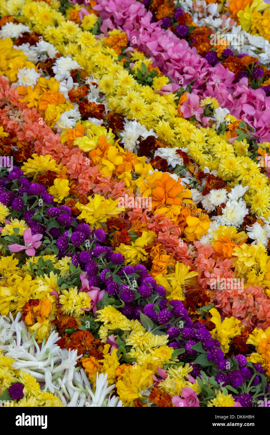 Bunte indische Blumenmuster Girlanden Stockfoto